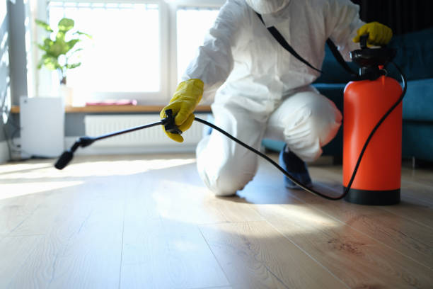 Trusted Sewage Cleanup service in Summit, IL - Four Month Blood Cleanse